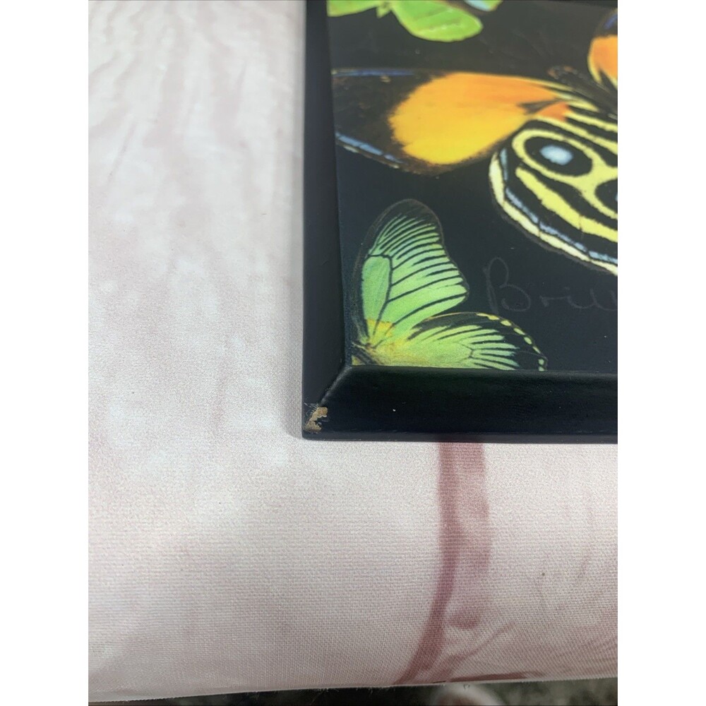 Harold Feinstein Monarch Butterfly Wall Art Set 3 Tabletop Display 2009 Colorful - Picture 4 of 9